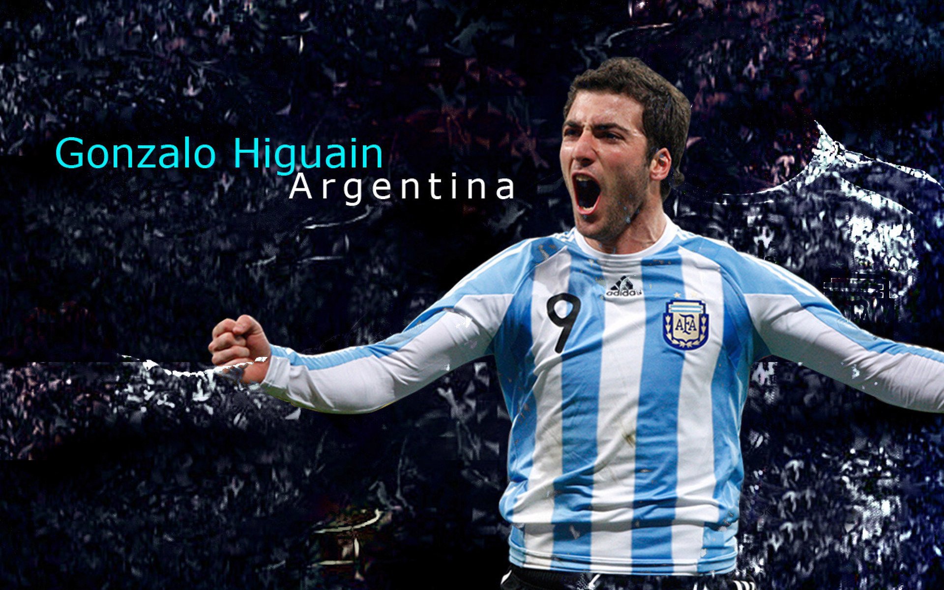 东契奇迎来十二赛季高光表现，公牛球迷沸腾！